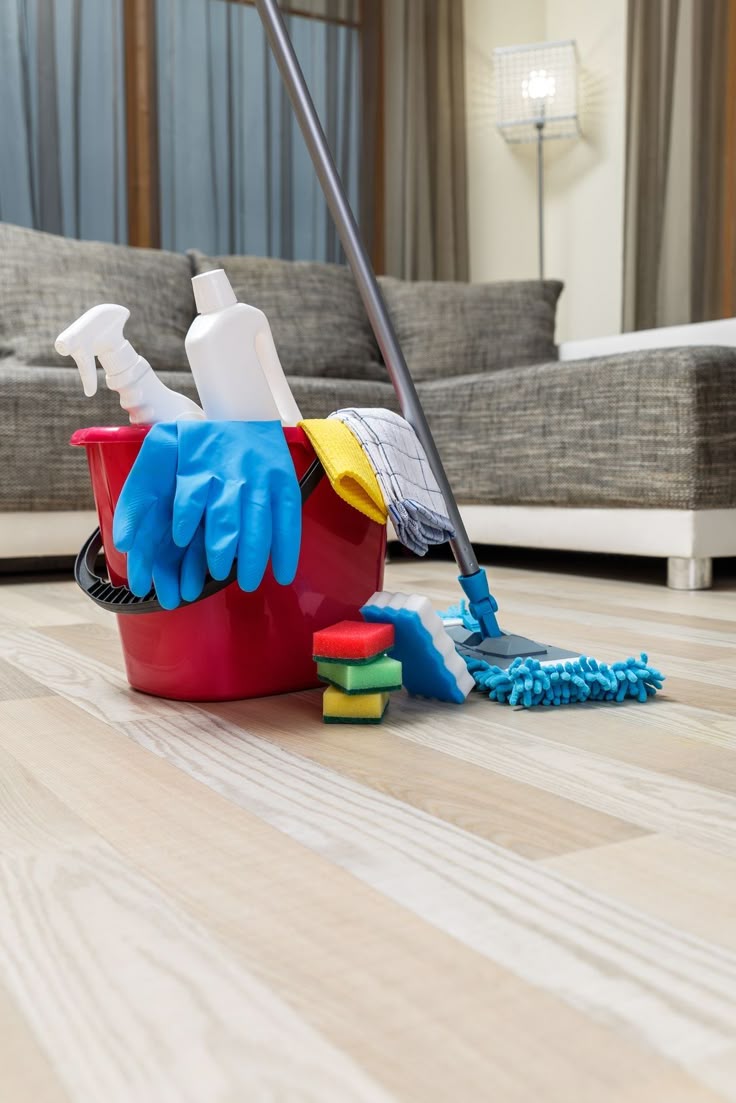 Professional house cleaning services