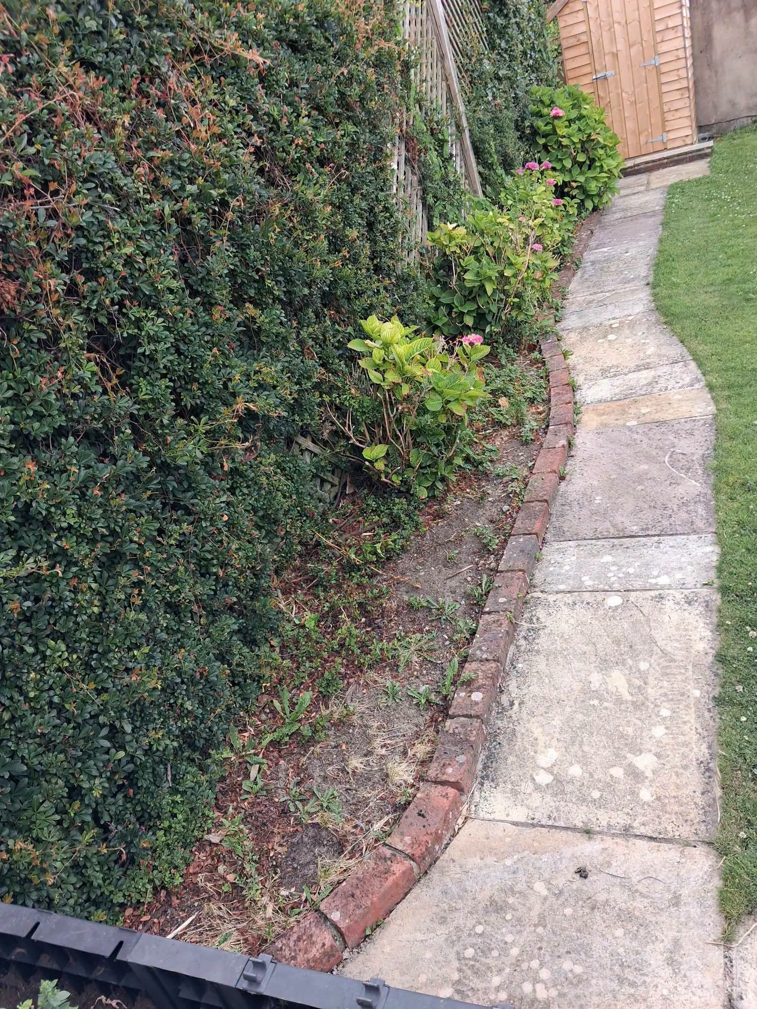 Professional landscaping and garden services