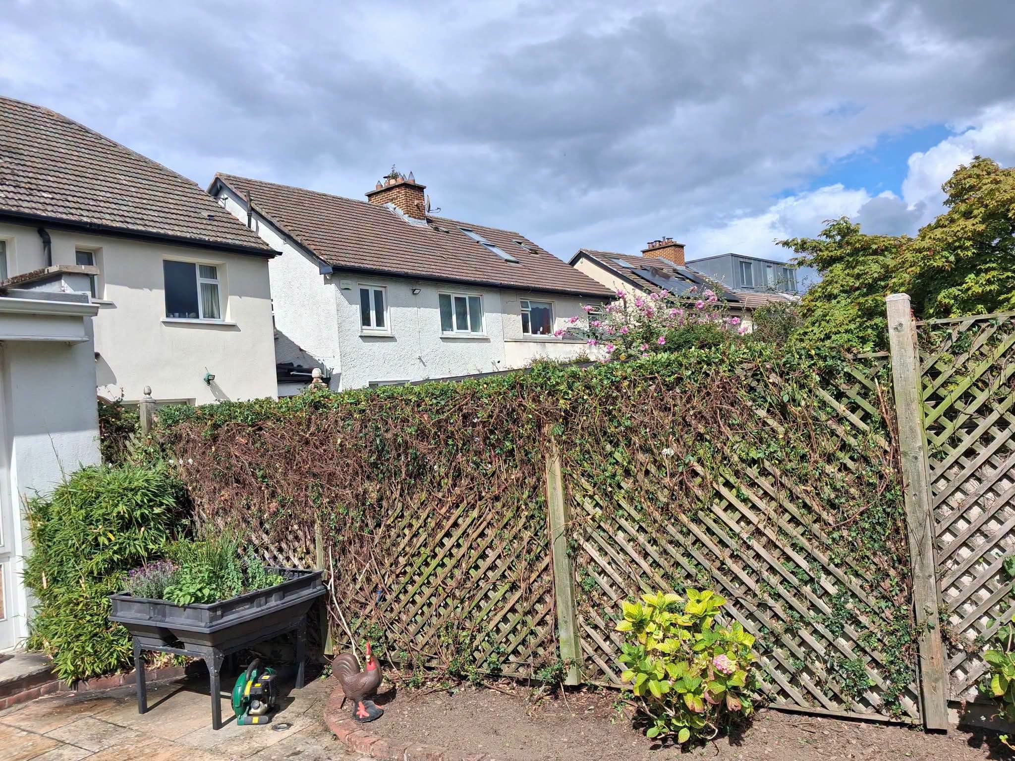 Landscaping and garden transformation