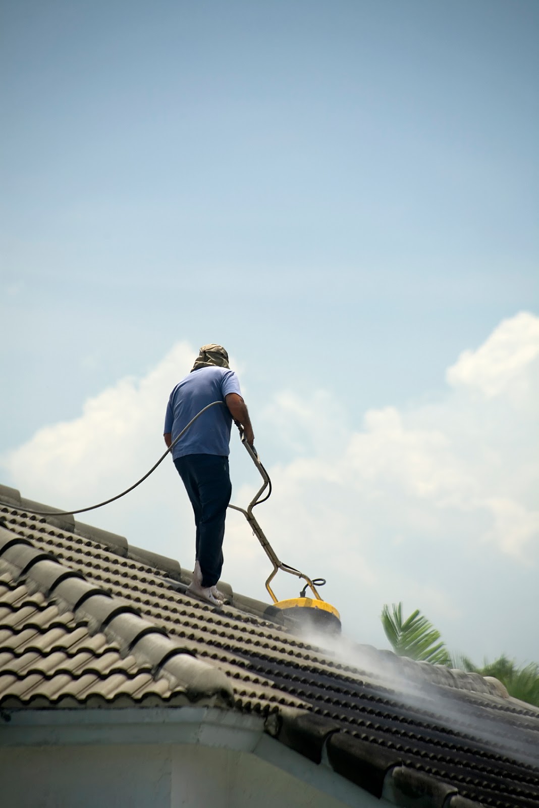 Professional roofline cleaning services